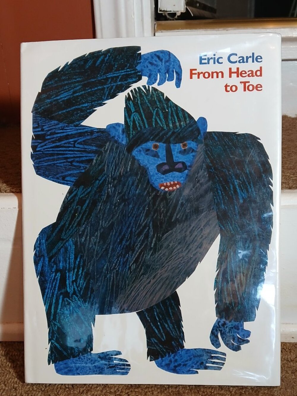 From Head to Toe hardback by Eric Carle